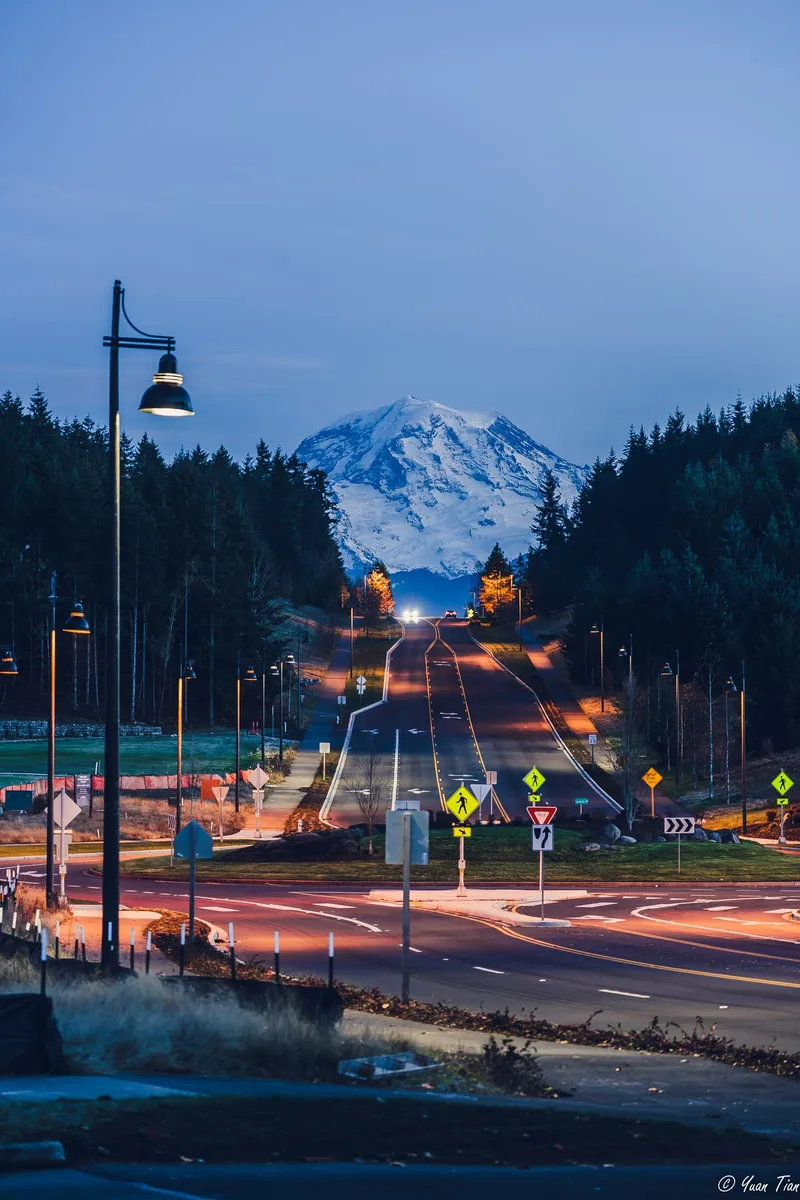 Street lined with evergreens at dusk leading straight toward a towering snow-covered Mount Rainier