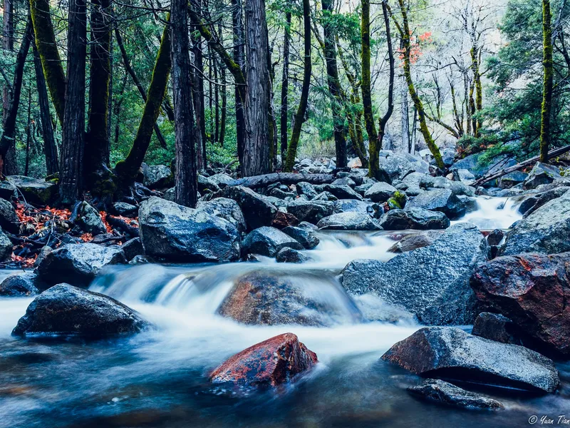 Long-exposure creek flowing over granite boulders through a mossy evergreen forest