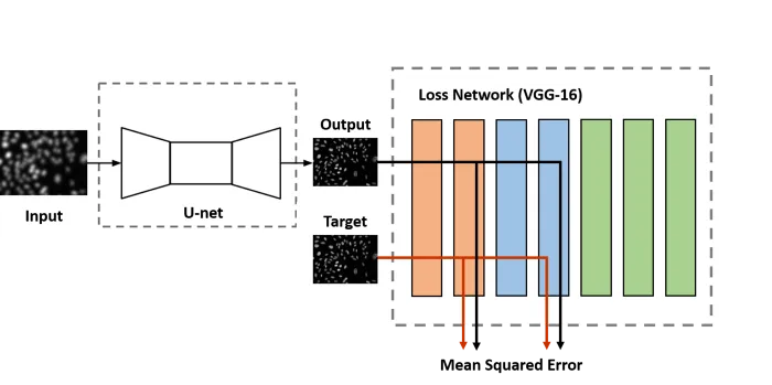 Schematic of feature loss