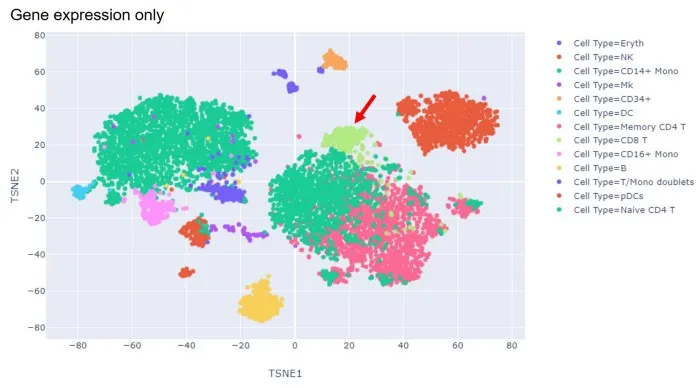 t-SNE visualization based on gene expression only