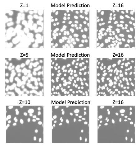 Model performance on the validation sets