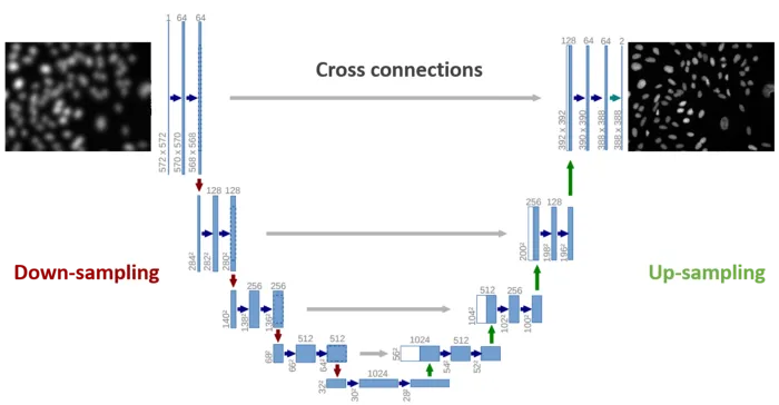 U-net-based architecture